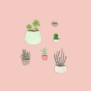 Meet your Posher, Addison